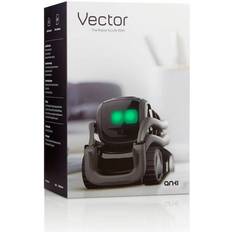 Vector