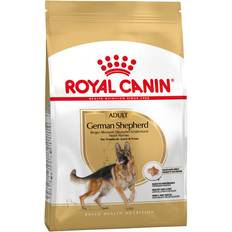 German shepherd Royal Canin German Shepherd Adult