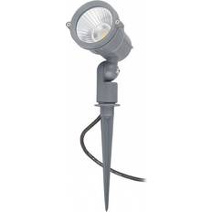 Rendl Gary Spotlight