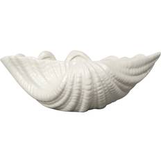 Shell S