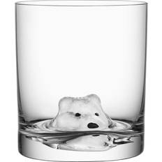 Kosta Boda New Friends Polar fox Drinking Glass 46cl