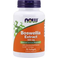 Now Foods Boswellia Extract 500mg 90 Stk.