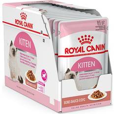 Kitten Gravy 12x85g