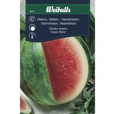 Weibulls Frugt- & Bærfrø Weibulls Vandmelon Frugt- & Bærfrø