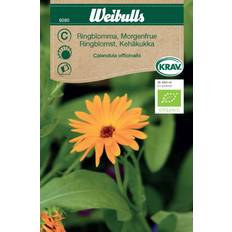 Weibulls Økologiske Morgenfruer Blomsterfrø