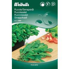 Weibulls Ruccolasallat Grøntsagsfrø