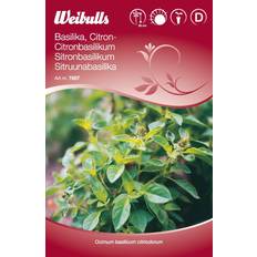 Weibulls Lemon Basil Krydderurtefrø