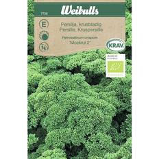 Yrttisiemenet Weibulls Parsley