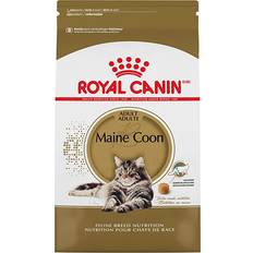 Royal canin maine coon Royal Canin Maine Coon Kitten