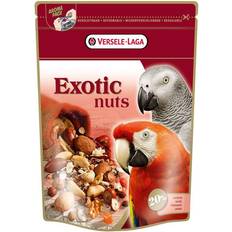 Prestige Premium Parrots Exotic Nuts Mix