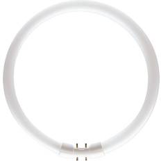 2gx13 Osram Lumilux T5 FC Fluorescent Lamp 55W 2GX13 865