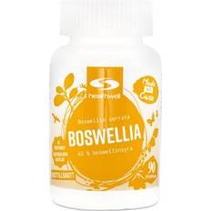 Boswellia Healthwell Boswellia 90pcs 90 st