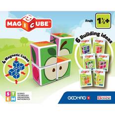 Metallo Blocchi Geomag Magicube Fruits