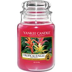 Yankee Candle Tropical Jungle Large Scented Candle 623g