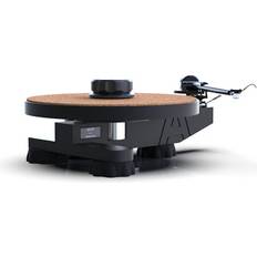 Avid HiFi Ingenium