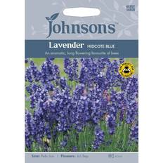 Seeds Johnsons Seeds Lavender Hidcote Strain 100 Seeds