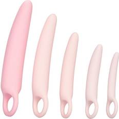 Waterproof Dilators, Spreaders & Stretchers Sex Toys CalExotics Inspire Silicone Dilator 5-pack