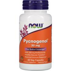 Now Foods Pycnogenol 30mg 60 Stk.