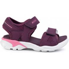 ecco Biom Raft - Purple