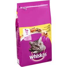 Whiskas chicken Whiskas Adult 1+ with Chicken