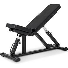 AB100 Bench