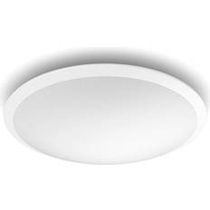 Plafond 4000k Philips Cavanal 40K Takplafond 35cm