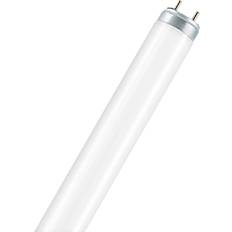 Dagslys - G13 Lysstofrør LEDVANCE L Fluorescent Lamp 36W G13 954-1