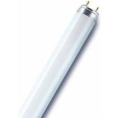 LEDVANCE G13 Lysrör LEDVANCE L Fluorescent Lamp 58W G13 76