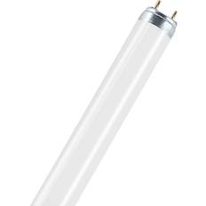 LEDVANCE L Fluorescent Lamp 36W G13 76