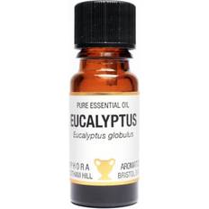 Amphora Aromatics Essential Oil Eucalyptus 10ml