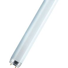 LEDVANCE L Fluorescent Lamp 15W G13 840