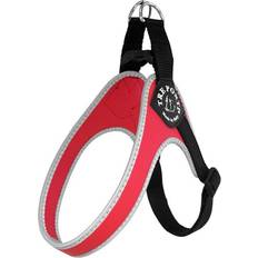 Tre ponti 2.5 Tre Ponti Seler Adjustable Belly 2.5