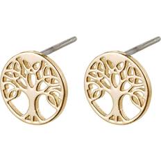 Rustfritt stål Øredobber Pilgrim Georgina Earrings - Gold