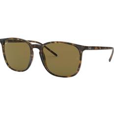 Rb4387 Ray-Ban RB4387 Sunglasses - Dark Brown