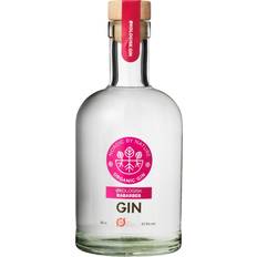 Rabarber Gin