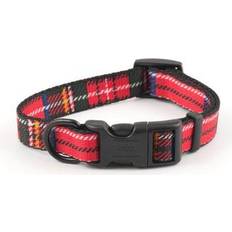 Ancol Tartan Collar