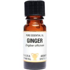 Amphora Aromatics Essential Oil Ginger 10ml