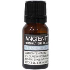 Massage- & Relaxation Products Ancient Wisdom Essential Oil Chamomile Roman (D) 10ml