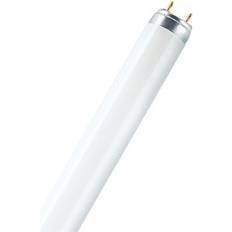 G13 Fluorescent Lamps LEDVANCE L Fluorescent Lamp 58W G13 880