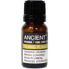 Ancient Wisdom Essential Oil Ylang Ylang I 10ml