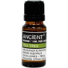 Massage- & Relaxation Products Ancient Wisdom Essential Oil Tea Tree 10ml