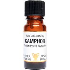 Amphora Aromatics Essential Oil Camphor 10ml