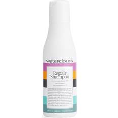 Repair Shampoo