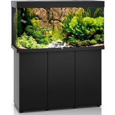 Juwel Acquario - Pesci e Rettili Animali domestici Juwel Rio 350 LED