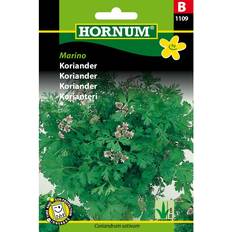 Hornum Koriander (1109) Krydderurtefrø
