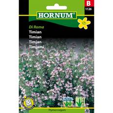 Hornum Krydderurtefrø Hornum Timian Di Roma (1126) Krydderurtefrø