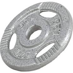 Met Handvatten Gewichtsschijven Gorilla Sports Halterschijf 1,25 kg Gripper Gietijzer Zilver 30/31 mm