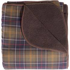 Small Dog Blanke