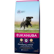 Eukanuba Developing Junior Large Breed with Chicken