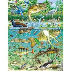 Larsen European Aquatic Pond Ecosystem 50 Pieces